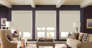 Blackout shades covering living room window treatments for privacy and adjustable light control